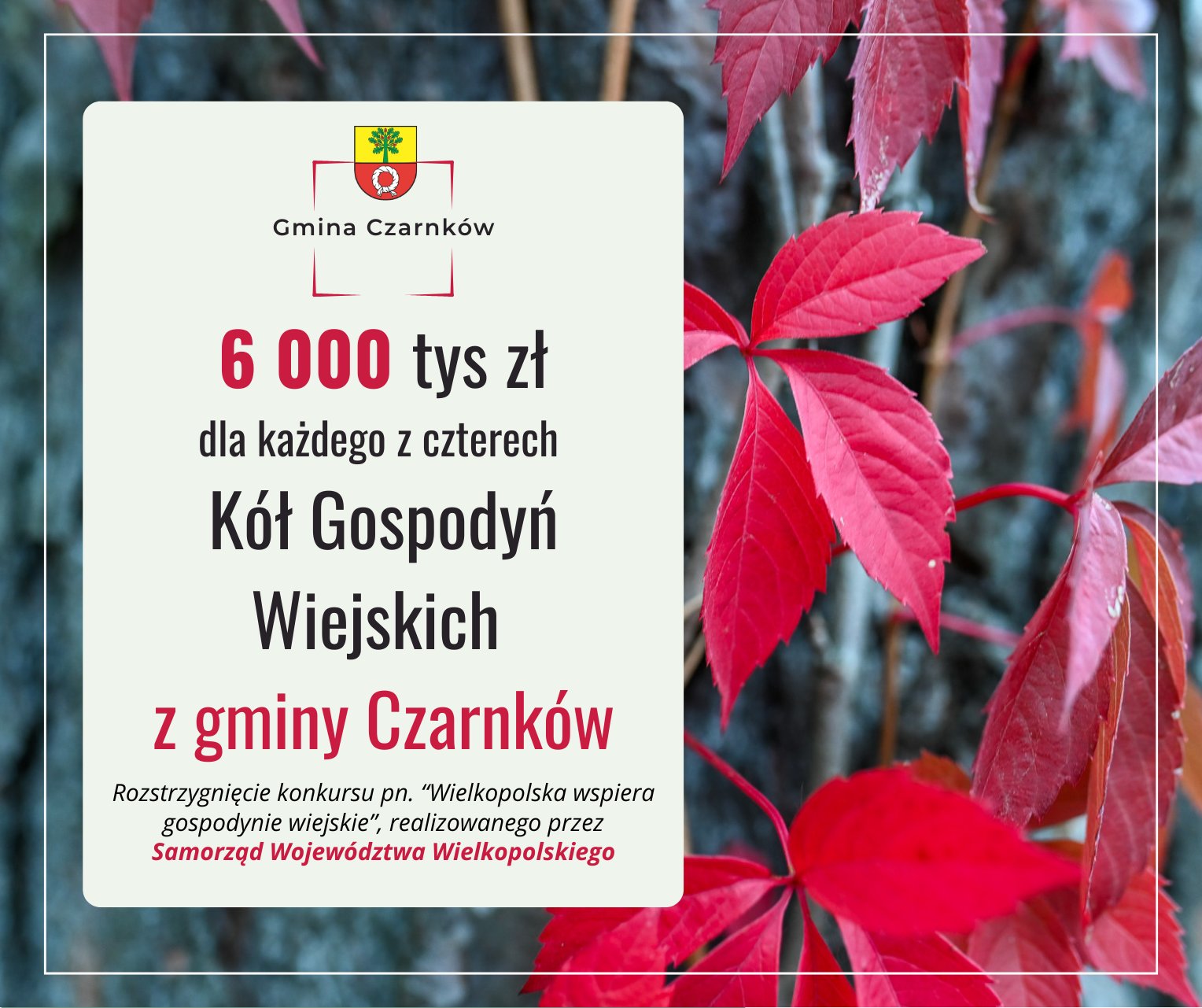 24 000 zł dla czterech Kół Gospodyń Wiejskich – po 6 000 zł dla każdego
