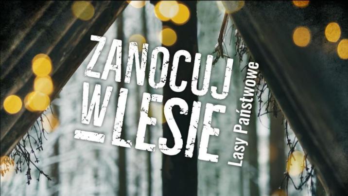 zanocuj w lesie