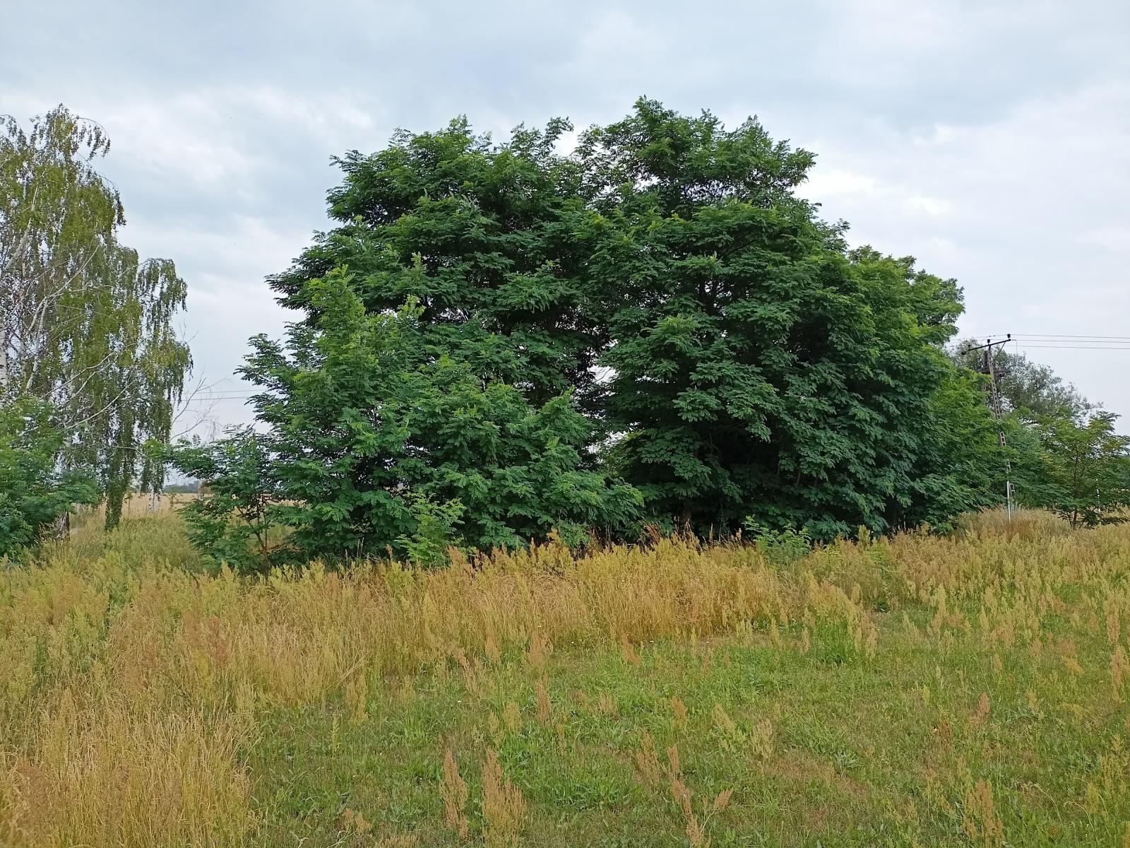 MIejsce pod zagospodarowanie przestrzeni publicznej w miejscowości Huta