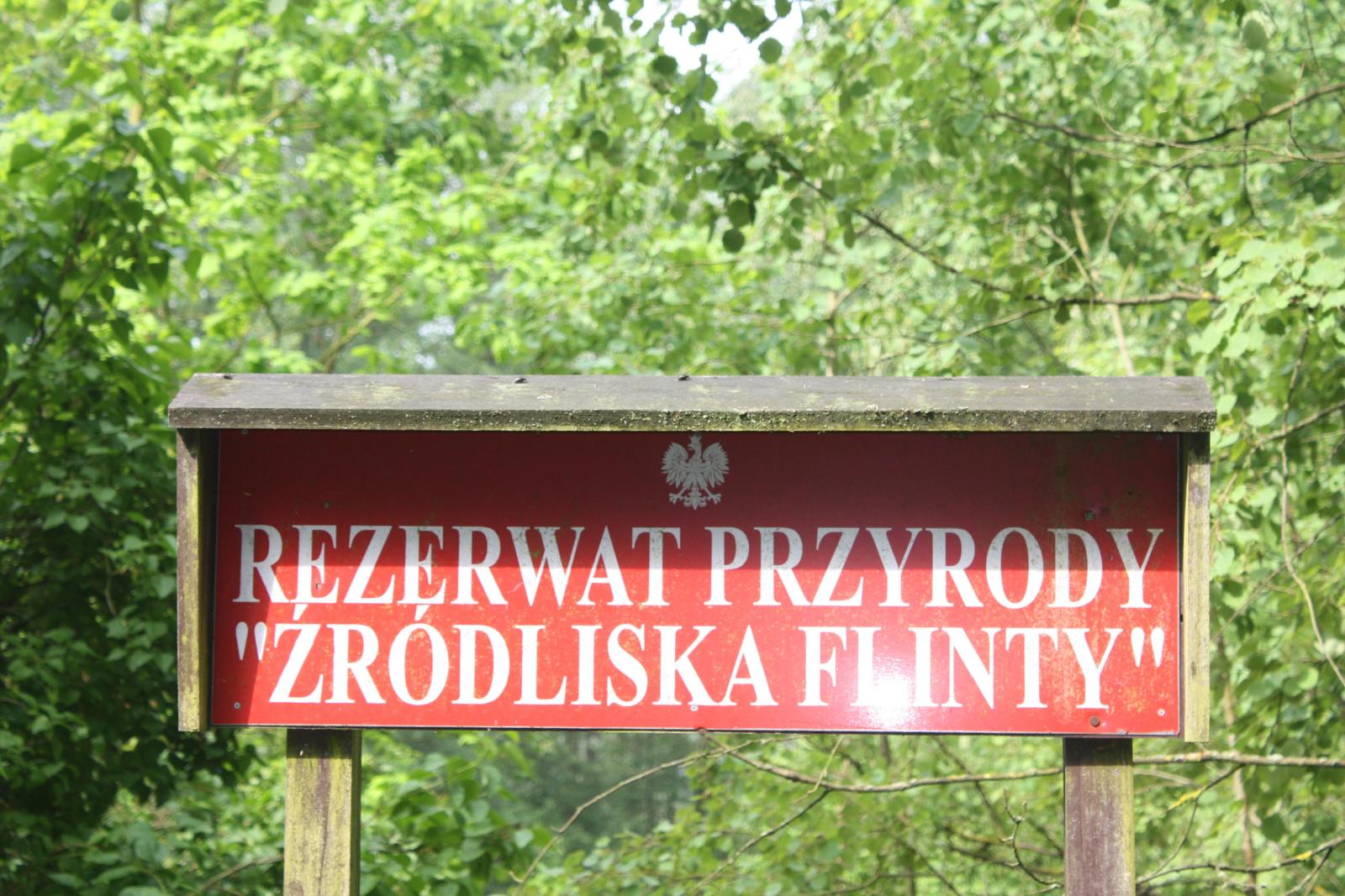 Źródliska Flinty.2