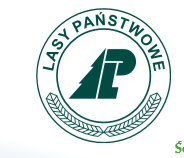 logo Lasy Państwowe