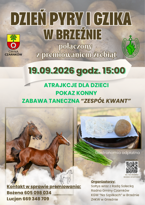 Dzień pyry i gzika połączony z premiowaniem źrebiąt w Brzeźnie