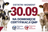 Certyfikat QMP — termin uzyskania upływa 30 września 2026 r.