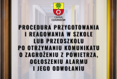 Procedura