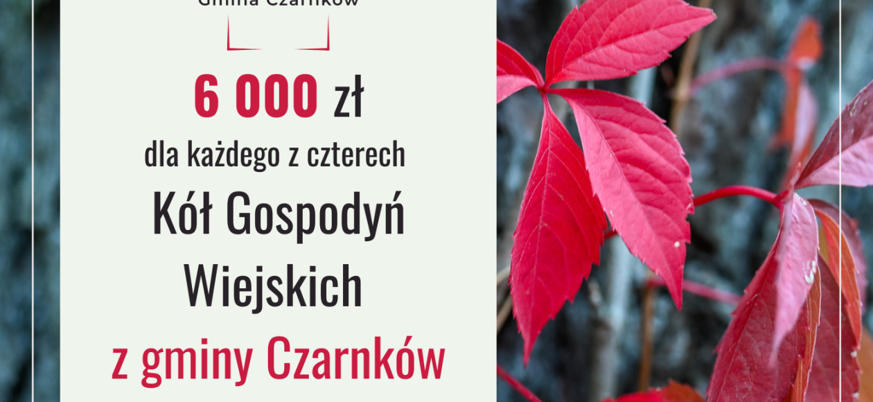 24 000 zł dla czterech Kół Gospodyń Wiejskich – po 6 000 zł dla każdego