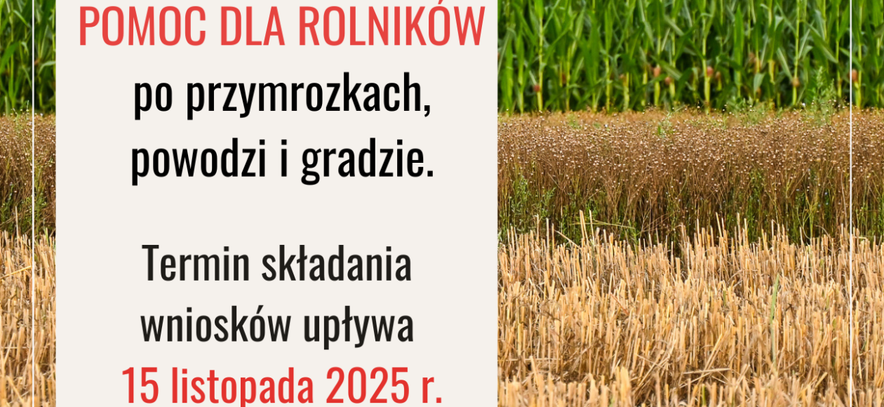 Pomoc dla rolników po przymrozkach, powodzi i gradzie.